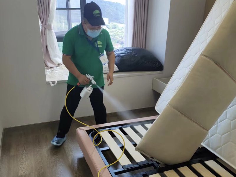 家居除甲醛新风潮：专业服务引领绿色生活升级